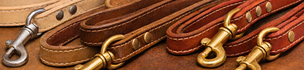 リードを見るボタン画像｜PINE SIDE LEATHER｜大型犬向け本革犬具・ハンドメイド革小物.
